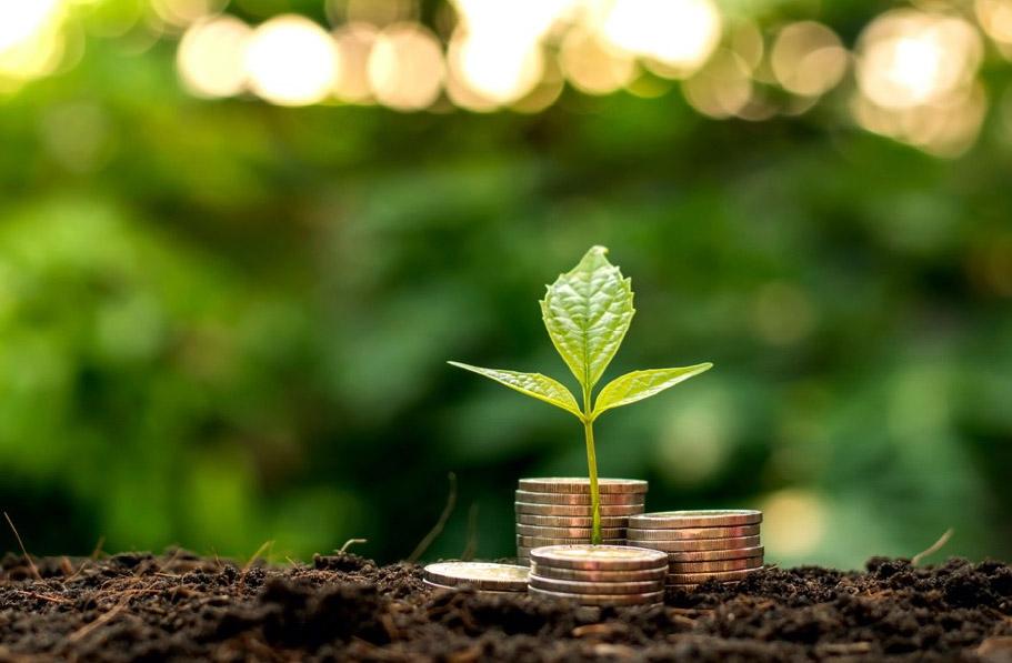 Embracing Green Finance as a Strategic Imperative