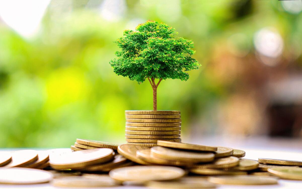 Why Banks Must Embrace Sustainability Without Delay